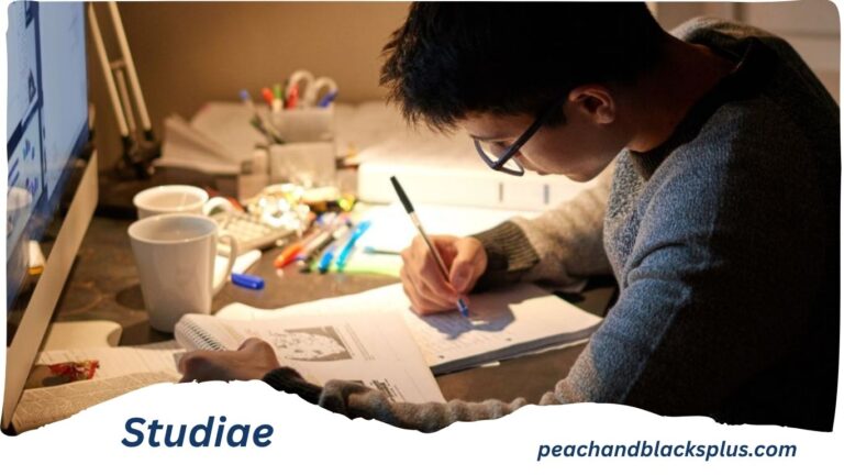Studiae